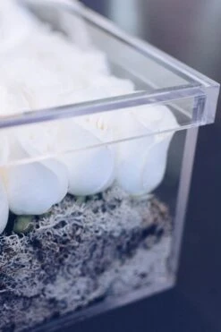 100 Ways -Flower Gift Shop 100ways2