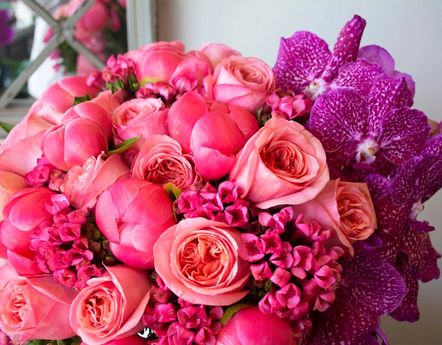 Geometric Warmth 4 Geometric Warmth - Image 2