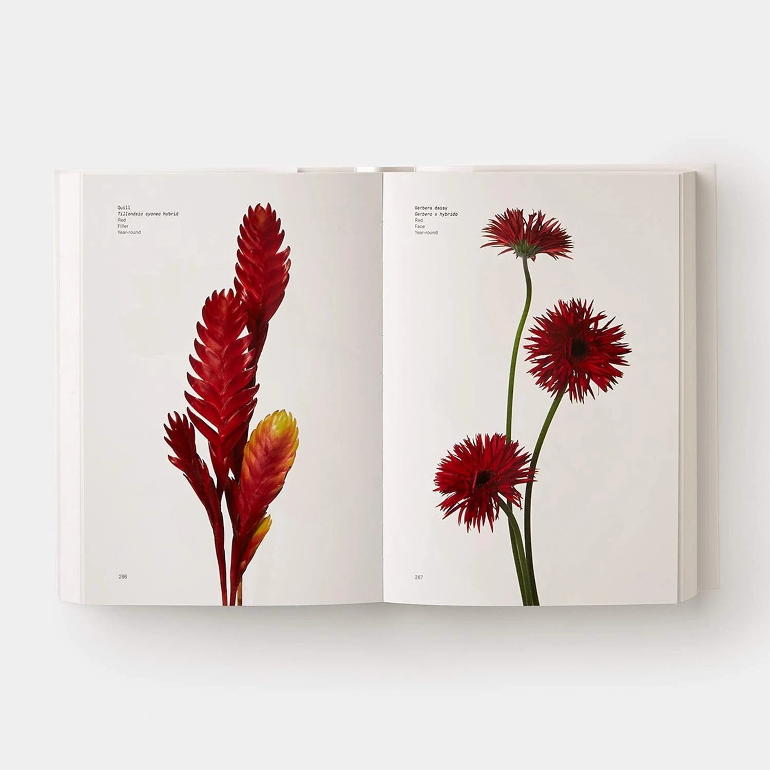 Book - Flower Color Guide By Darroch Putnam 5 Book - Flower Color Guide By Darroch Putnam - Image 3