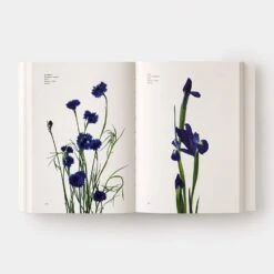 Book - Flower Color Guide By Darroch Putnam 10 Book - Flower Color Guide By Darroch Putnam -Flower Gift Shop 3 17807c0a 7bab 46a7 aba0 591bc66fc882
