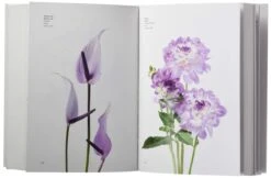 Book - Flower Color Guide By Darroch Putnam 11 Book - Flower Color Guide By Darroch Putnam -Flower Gift Shop 4