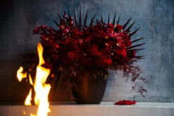 Crimson Crown 9 Crimson Crown -Flower Gift Shop 5L6A4945