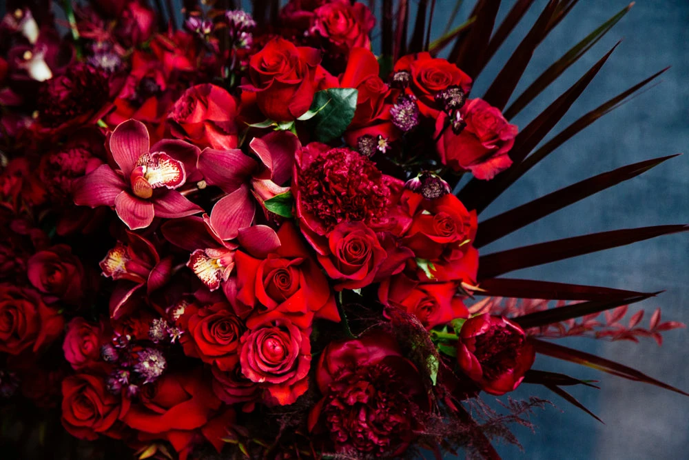 Crimson Crown 4 Crimson Crown - Image 2