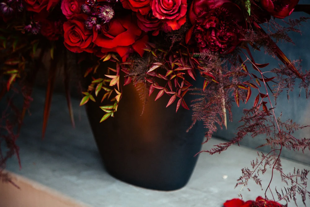 Crimson Crown 5 Crimson Crown - Image 3