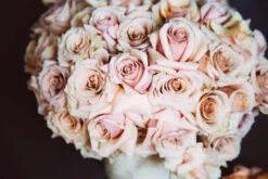 Madison Ave -Flower Gift Shop 5L6A5037