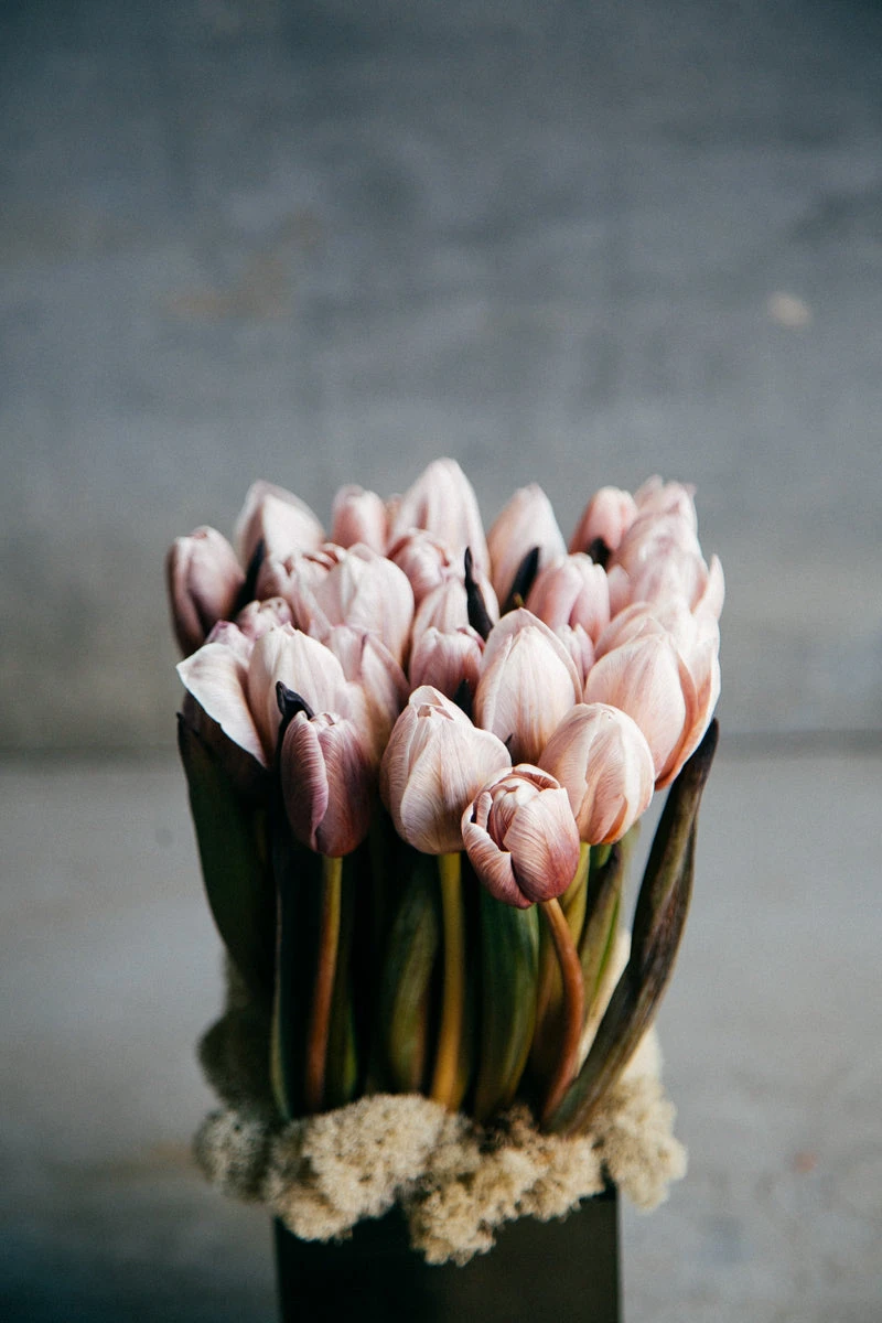 Petit Renaissance Romance 4 Petit Renaissance Romance - Image 2