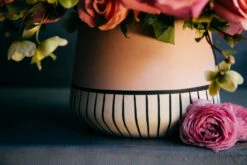 Spainiard Lullaby -Flower Gift Shop 5L6A8120