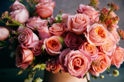 Spainiard Lullaby -Flower Gift Shop 5L6A8122