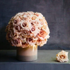 Quicksand Wonder -Flower Gift Shop 5L6A9755