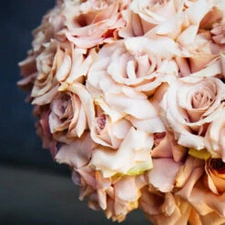 Quicksand Wonder -Flower Gift Shop 5L6A9761