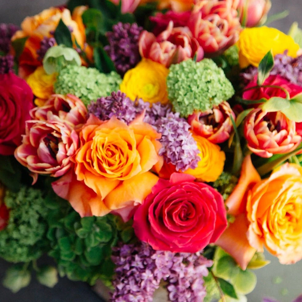 Chromatic Fantasy 4 Chromatic Fantasy - Image 2