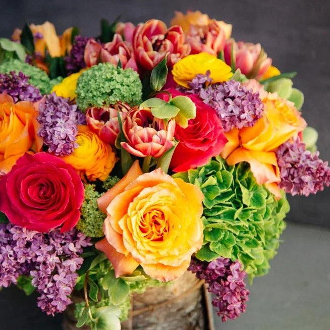 Chromatic Fantasy 5 Chromatic Fantasy - Image 3