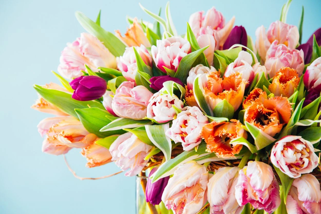 Sunrise In Spring 6 Sunrise In Spring - Image 4