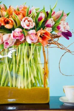 Sunrise In Spring 9 Sunrise In Spring -Flower Gift Shop 5l6a0116