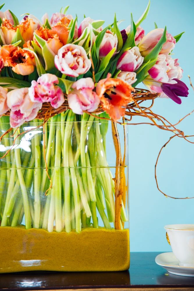 Sunrise In Spring 5 Sunrise In Spring - Image 3