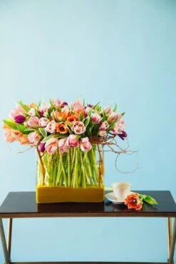 Sunrise In Spring 11 Sunrise In Spring -Flower Gift Shop 5l6a0141