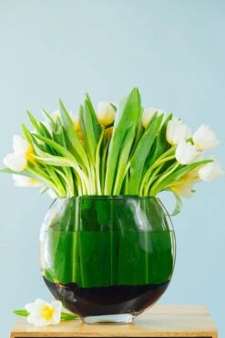 Midnight Spring -Flower Gift Shop 5l6a0307