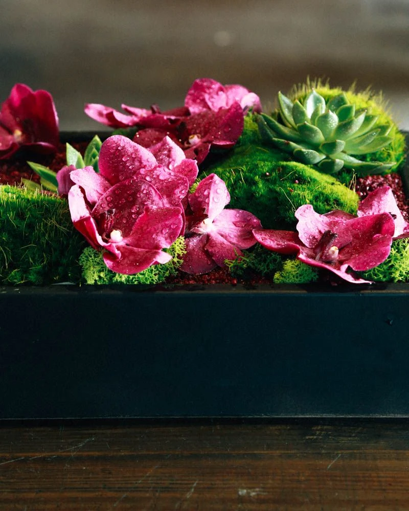 Kyoto Morning 4 Kyoto Morning - Image 2