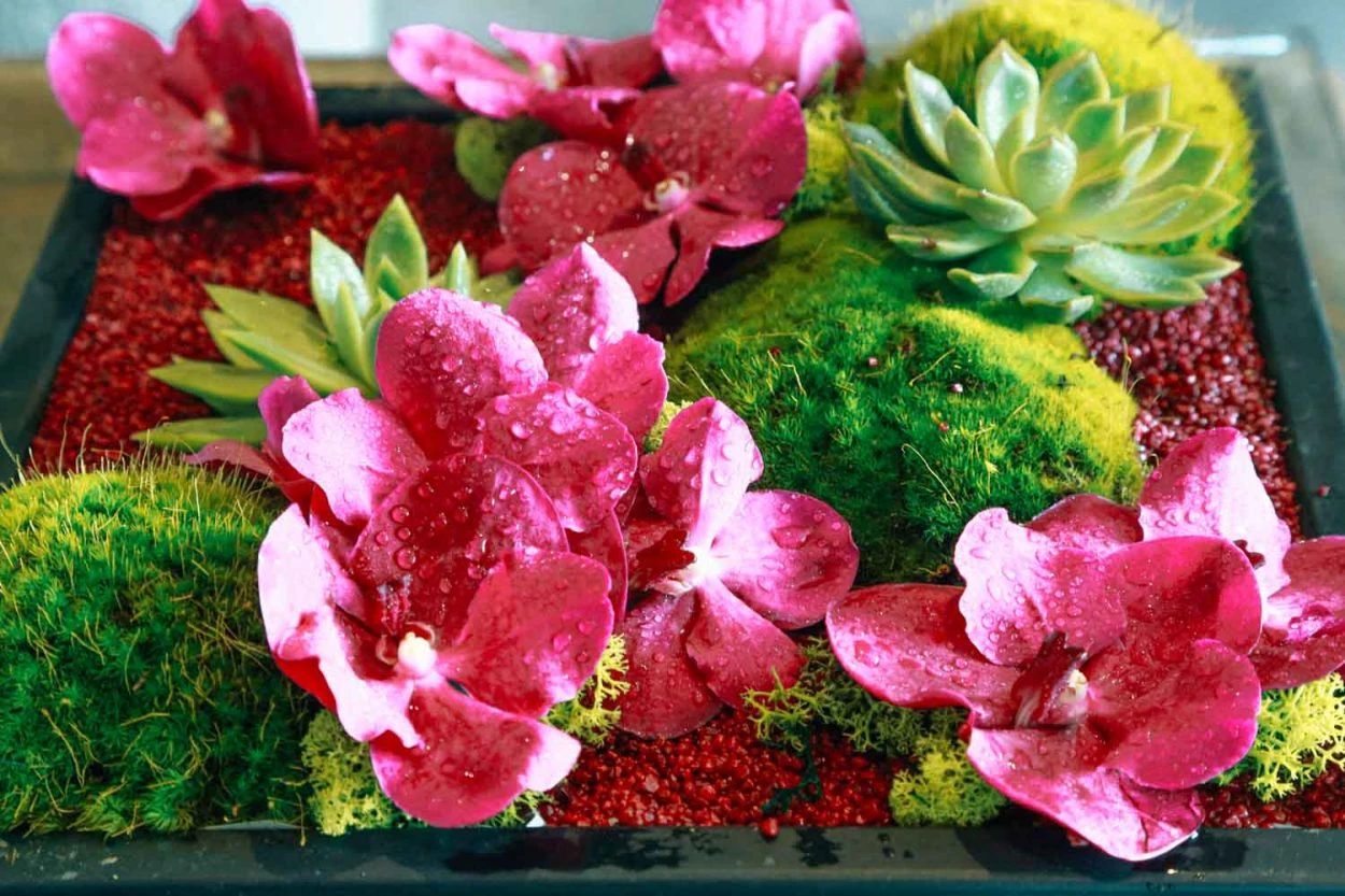 Kyoto Morning 5 Kyoto Morning - Image 3