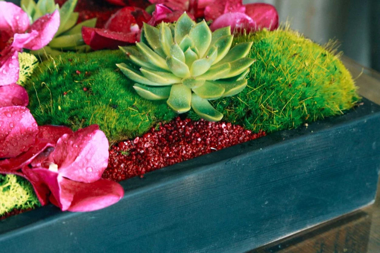 Kyoto Morning 7 Kyoto Morning - Image 5