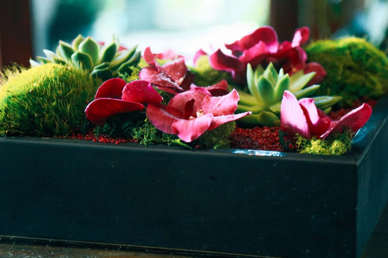 Kyoto Morning 6 Kyoto Morning - Image 4