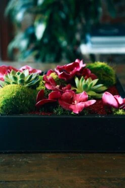 Kyoto Morning 13 Kyoto Morning -Flower Gift Shop 5l6a1476