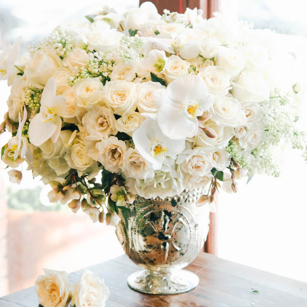 The Swan's Dance 3 The Swan's Dance