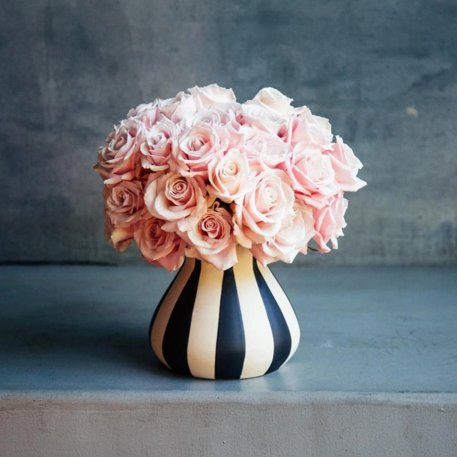 The Charlotte 3 The Charlotte