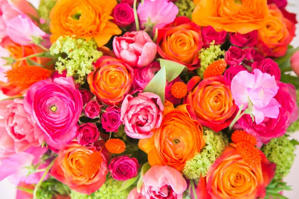 The Scarlet Confession 7 The Scarlet Confession - Image 5