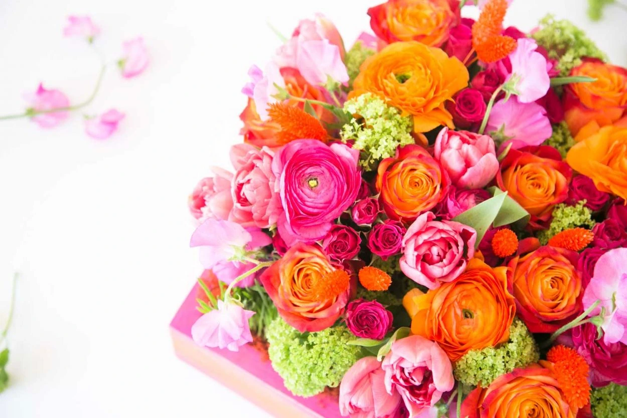 The Scarlet Confession 8 The Scarlet Confession - Image 6