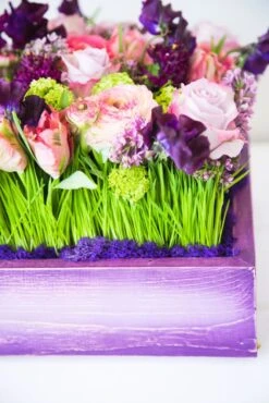 The Mauve Maiden -Flower Gift Shop 5l6a8925