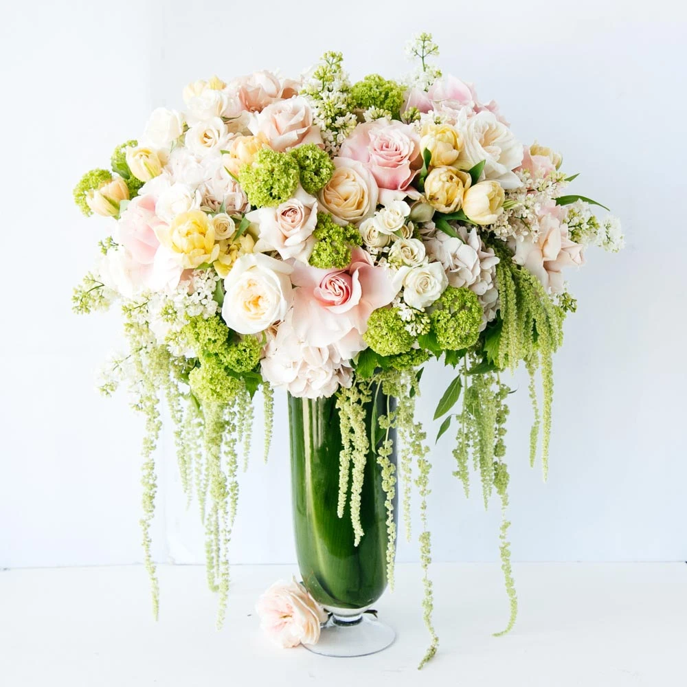 Garden Of Alexandria 3 Garden Of Alexandria