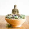 The Zen Mountain -Flower Gift Shop 5l6a9221