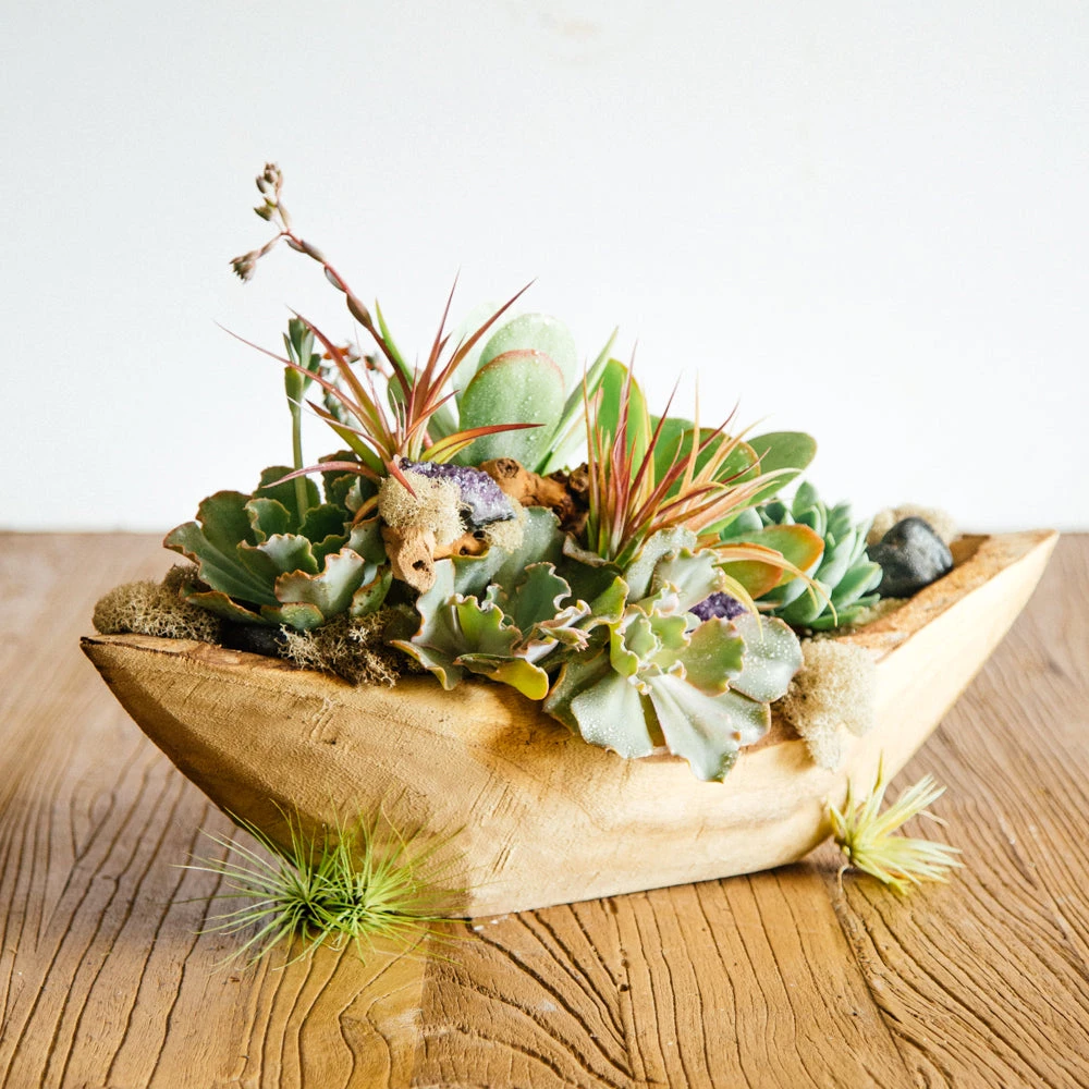 The River Spirit 3 The River Spirit