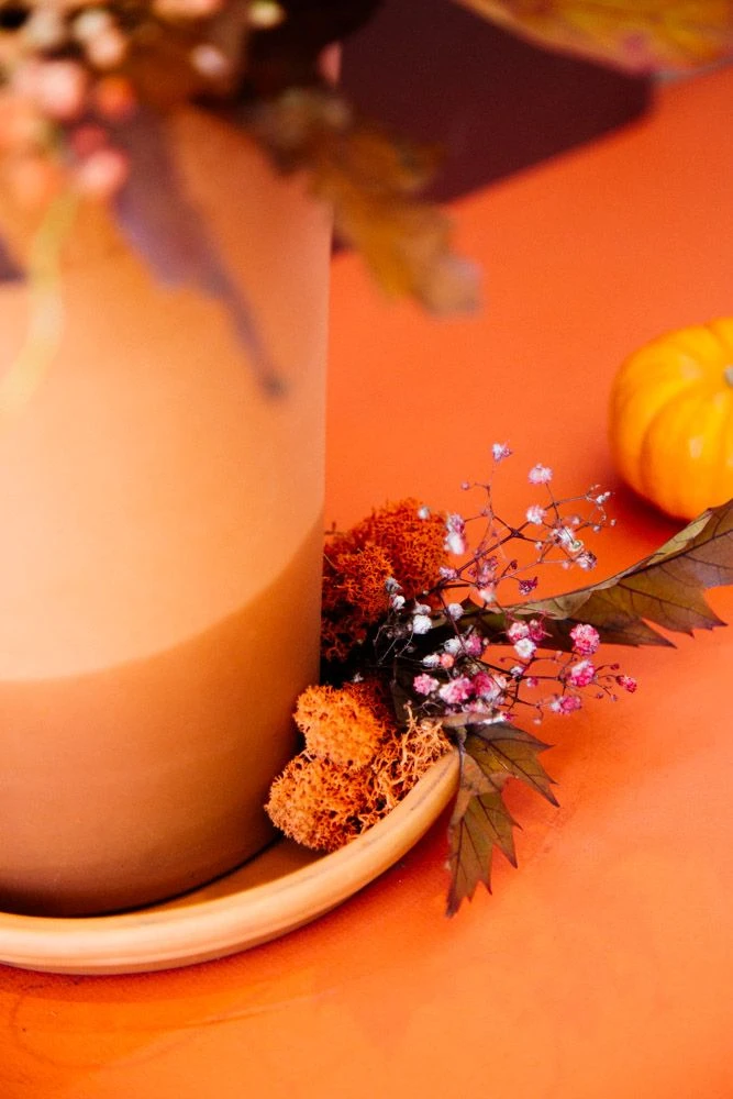 The Pumpkin Patch 6 The Pumpkin Patch - Image 4