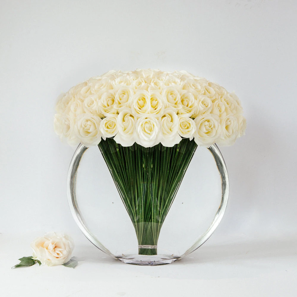 The Kitsune 3 The Kitsune