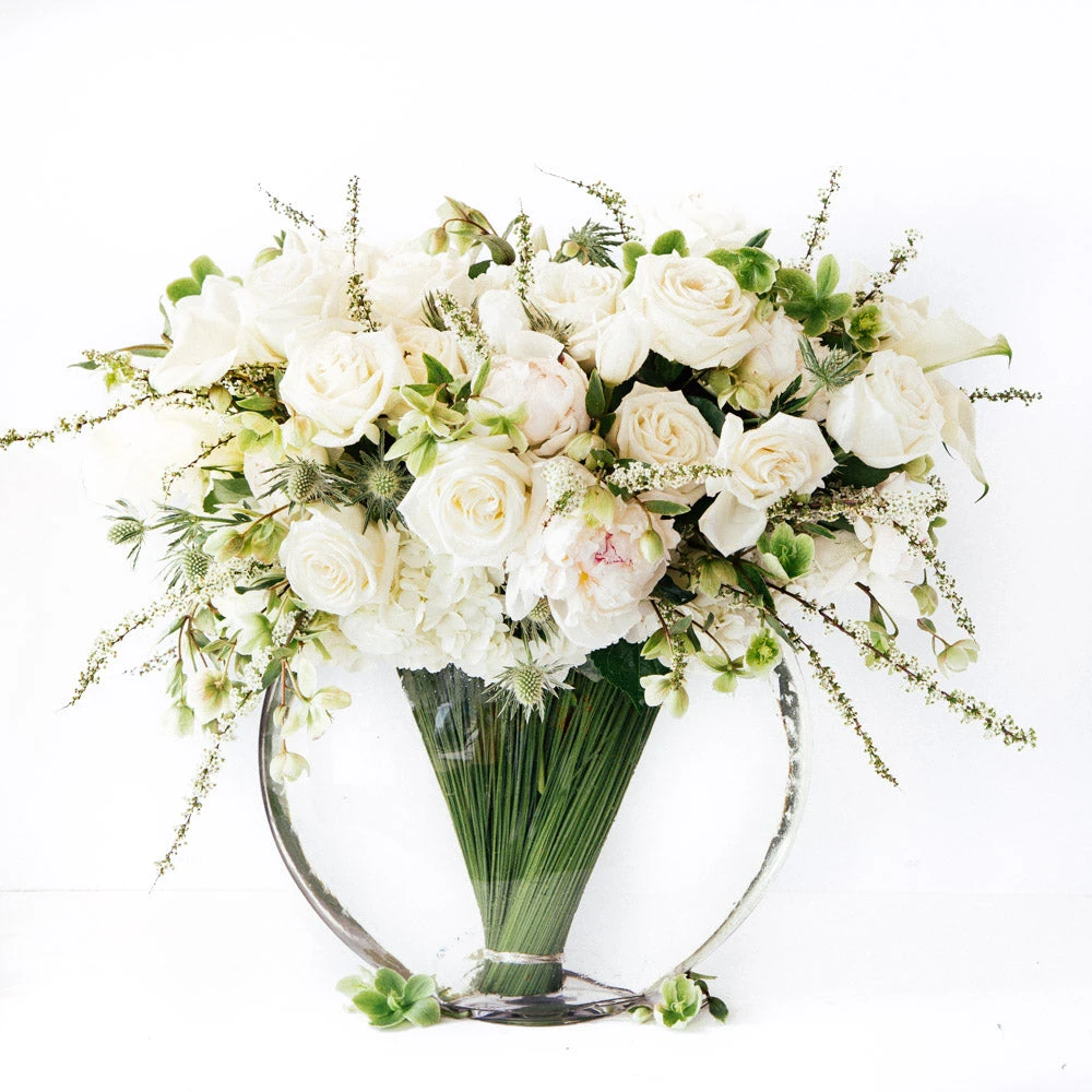 The Garden Swan 3 The Garden Swan