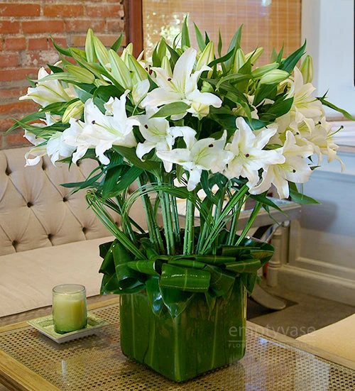 Bursting White Casablancas 4 Bursting White Casablancas - Image 2