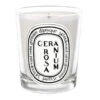 Diptyque - Classic Candle - Geranium Rosa 1 Diptyque - Classic Candle - Geranium Rosa -Flower Gift Shop DIPT06