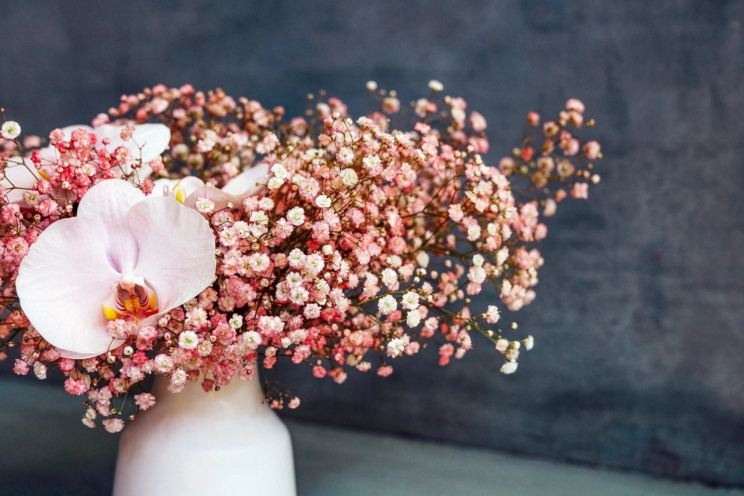 Bubblegum Fairy Dust 4 Bubblegum Fairy Dust - Image 2