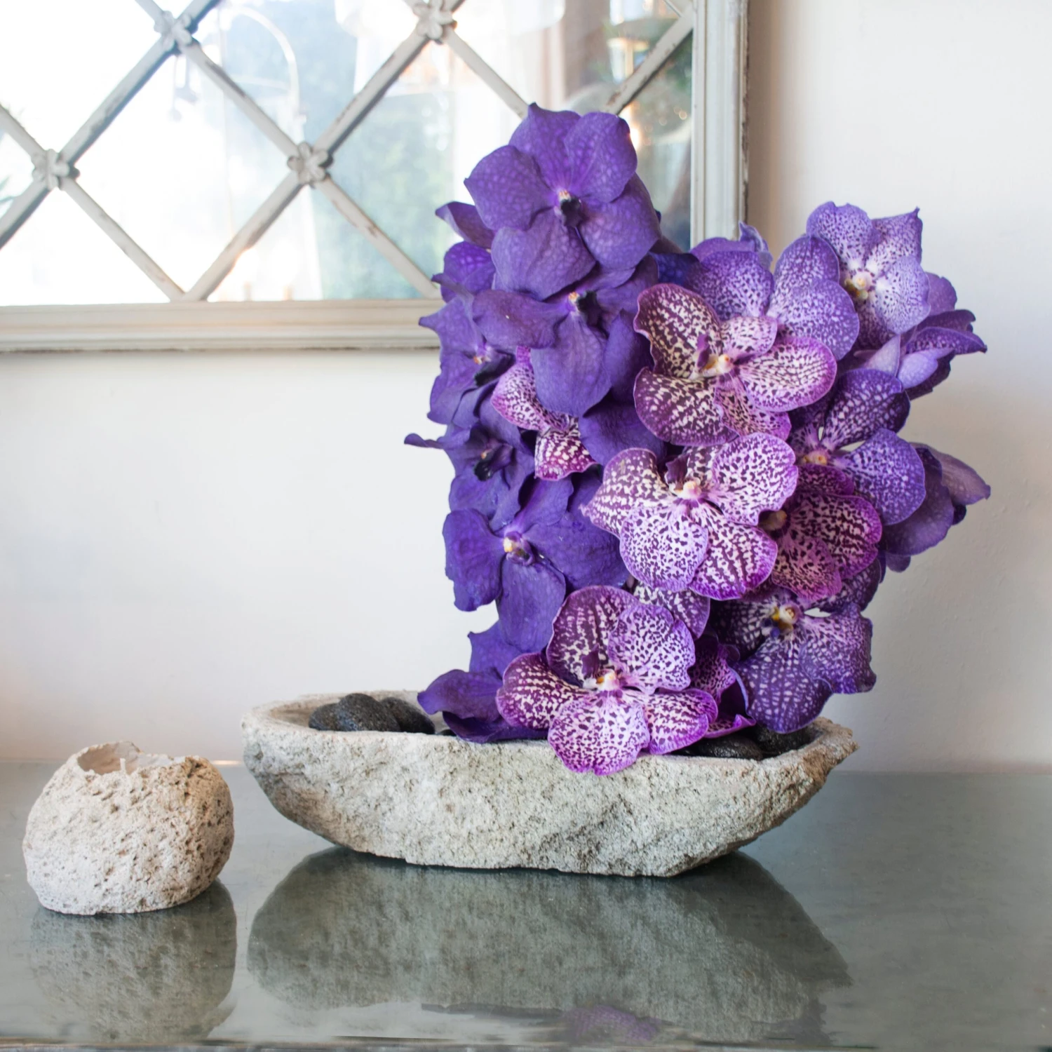 Lava Enchantment Orchid 4 Lava Enchantment Orchid - Image 2