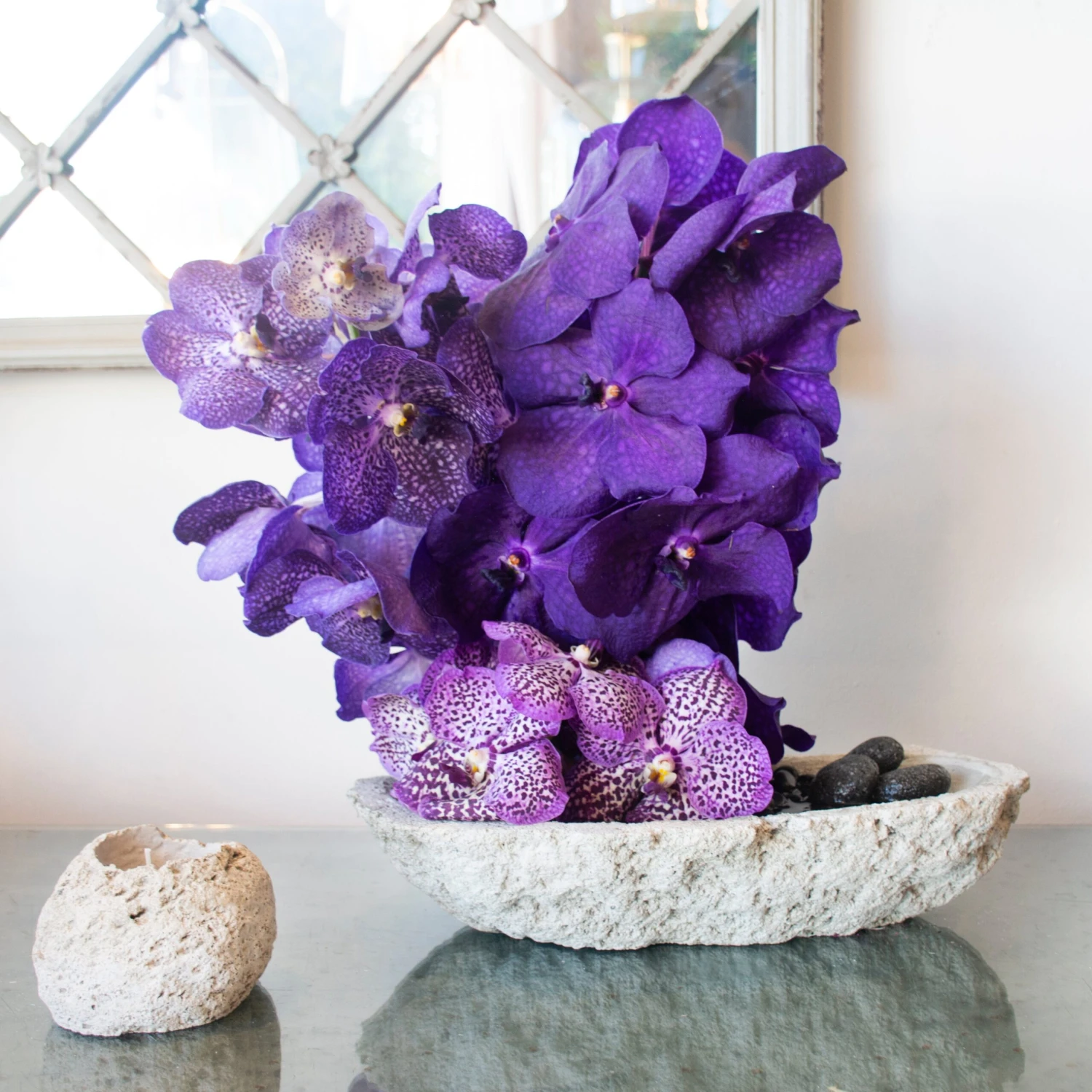 Lava Enchantment Orchid 3 Lava Enchantment Orchid