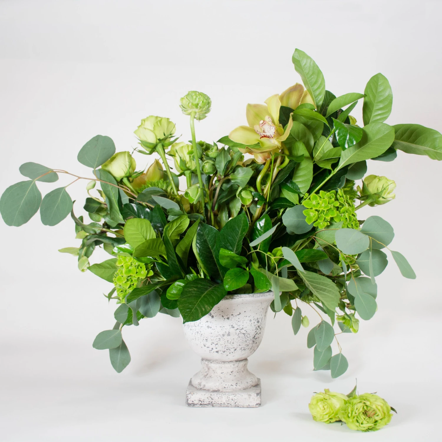 Falling For Greens 4 Falling For Greens - Image 2