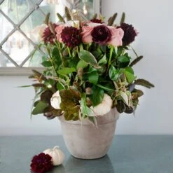 Blushing Dahlia -Flower Gift Shop DSC 0367copy