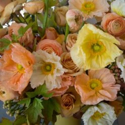 Golden Poppy Sunset -Flower Gift Shop DSC 0395copy