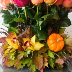 Fiery Rose Sunset -Flower Gift Shop DSC 0401copy