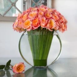 Free Spirit Rose Delight