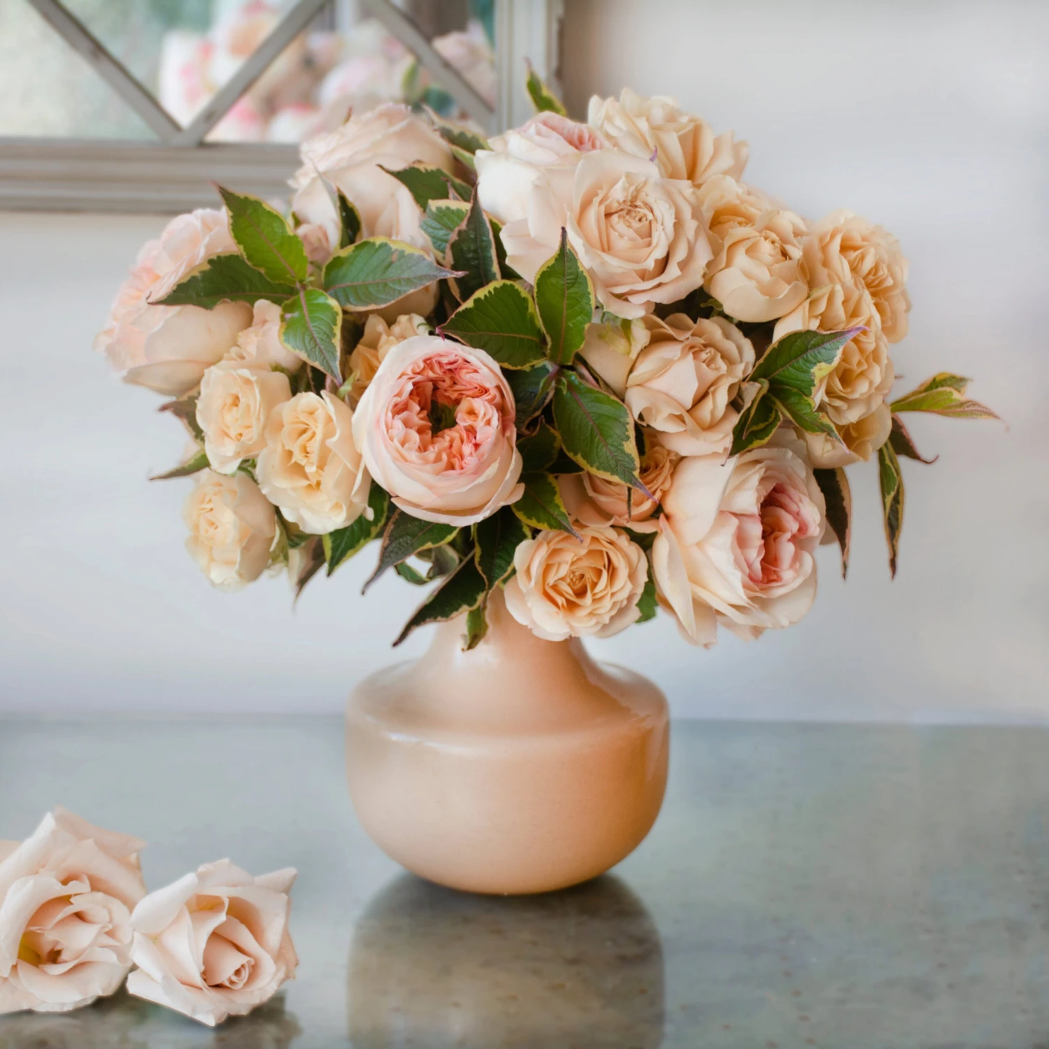 Elegant Symphony 4 Elegant Symphony - Image 2