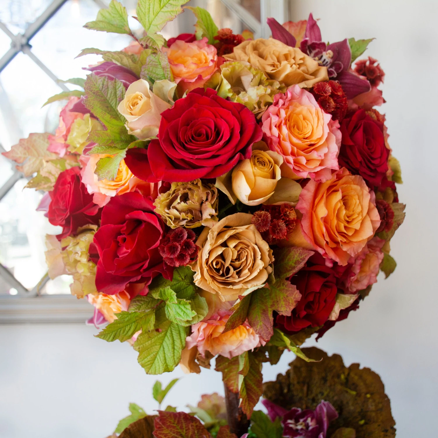 Autumn Rosewood 5 Autumn Rosewood - Image 3