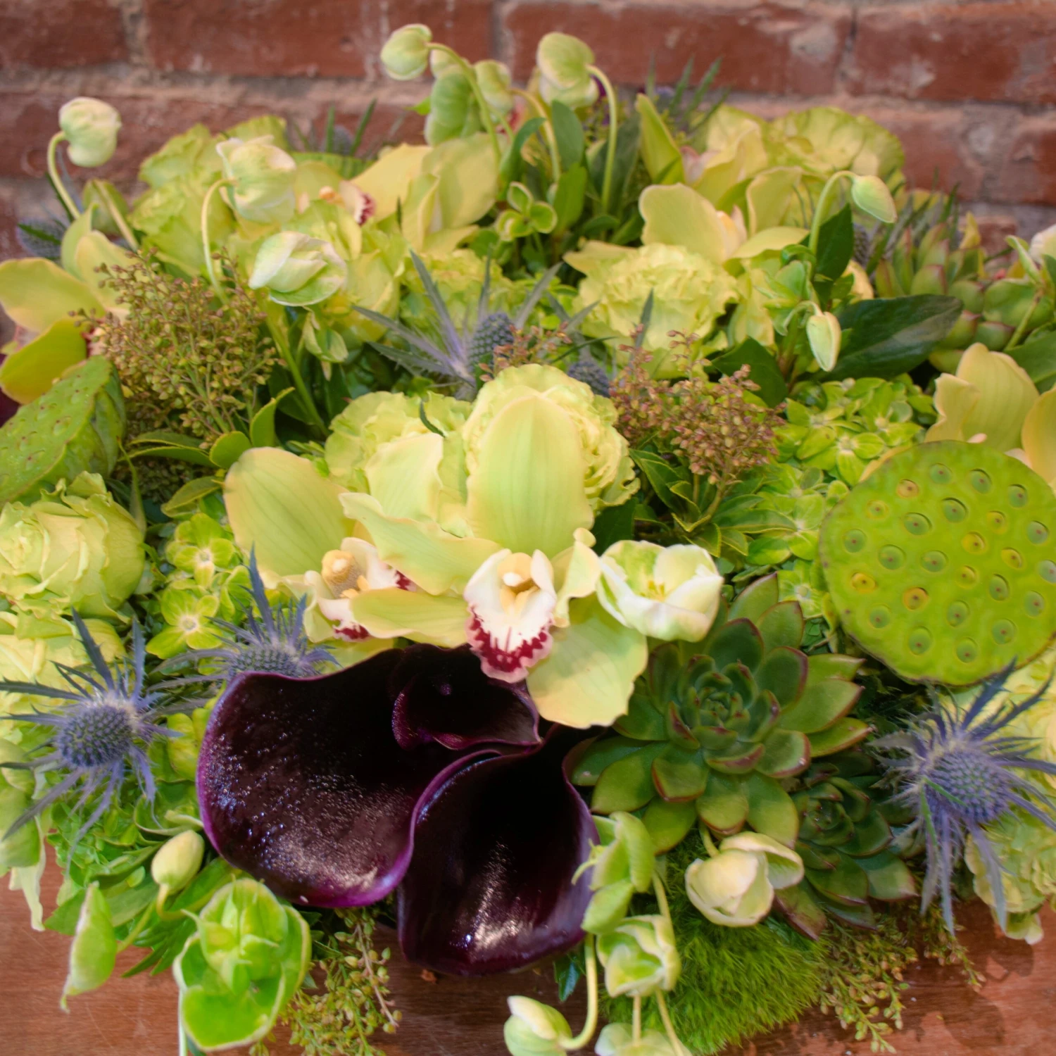 Evergreen Enchantment 4 Evergreen Enchantment - Image 2